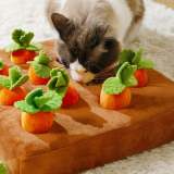 Carrot Mat For Pet