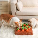 Carrot Mat For Pet