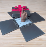 Funny Middle Finger Gift
