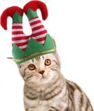 Christmas Hat Pet Funny Striped Clown Hat