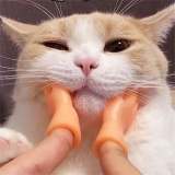 Funny Cat Massage Gloves