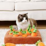 Carrot Mat For Pet