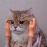 Funny Cat Massage Gloves