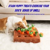 Carrot Mat For Pet