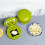 Garlic Chopper