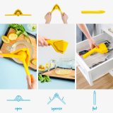 Lemon Squeezer