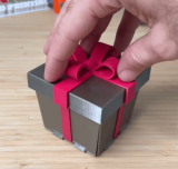 Funny Middle Finger Gift