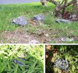 Hide-a-Spare-Key Fake Rock Imitation Stone Key Box