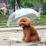 Pet Transparent Umbrella