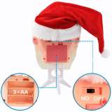 Shaking Head Santa Claus