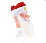 Shaking Head Santa Claus