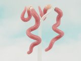 Creative Animal Earrings