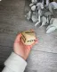 Takeaway Dice