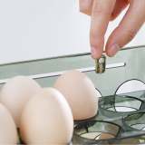 Automatic Flipping Egg Storage Box