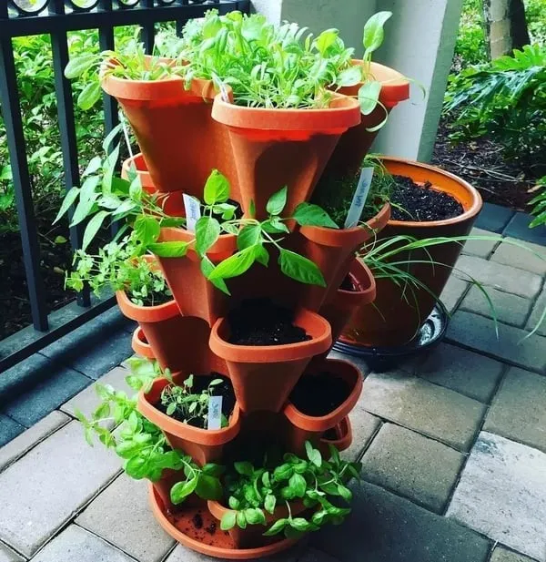 Plant Festival Special -Stand Stacking Planters Strawberry Planting Pots