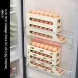 Egg Storage Box