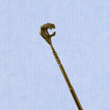 Retractable Gold Skeleton Joint Holder