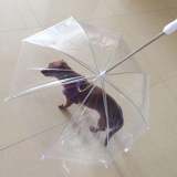 Pet Transparent Umbrella