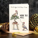 Early Christmas Sale -Christmas Card Set (Pack of 10)