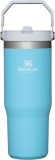 STANLEY IceFlow Stainless Steel Tumbler with Straw, Vacuum Insulated Water Bottle for Home, Office or Car, Reusable Cup with Straw Leak Resistant Flip