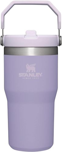 STANLEY IceFlow Stainless Steel Tumbler with Straw, Vacuum Insulated Water Bottle for Home, Office or Car, Reusable Cup with Straw Leak Resistant Flip