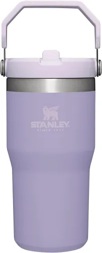 STANLEY IceFlow Stainless Steel Tumbler with Straw, Vacuum Insulated Water Bottle for Home, Office or Car, Reusable Cup with Straw Leak Resistant Flip