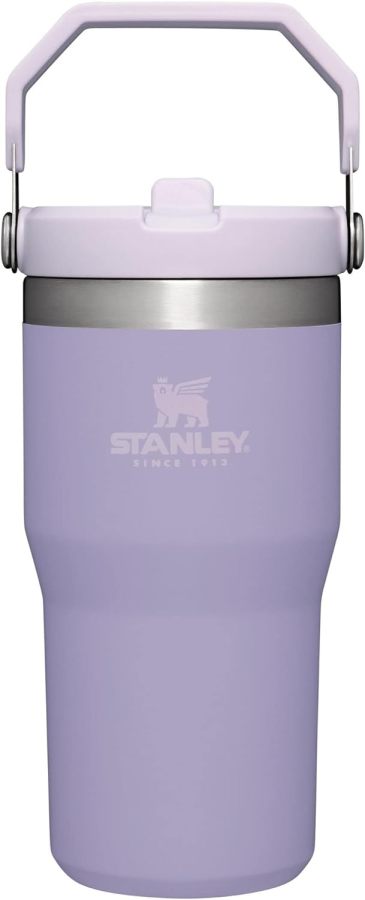 STANLEY IceFlow Stainless Steel Tumbler with Straw, Vacuum Insulated Water Bottle for Home, Office or Car, Reusable Cup with Straw Leak Resistant Flip