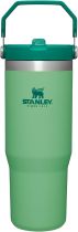STANLEY IceFlow Stainless Steel Tumbler with Straw, Vacuum Insulated Water Bottle for Home, Office or Car, Reusable Cup with Straw Leak Resistant Flip