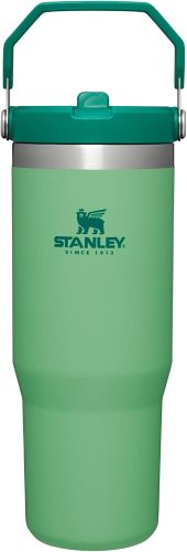 STANLEY IceFlow Stainless Steel Tumbler with Straw, Vacuum Insulated Water Bottle for Home, Office or Car, Reusable Cup with Straw Leak Resistant Flip