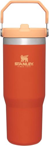 STANLEY IceFlow Stainless Steel Tumbler with Straw, Vacuum Insulated Water Bottle for Home, Office or Car, Reusable Cup with Straw Leak Resistant Flip