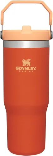 STANLEY IceFlow Stainless Steel Tumbler with Straw, Vacuum Insulated Water Bottle for Home, Office or Car, Reusable Cup with Straw Leak Resistant Flip