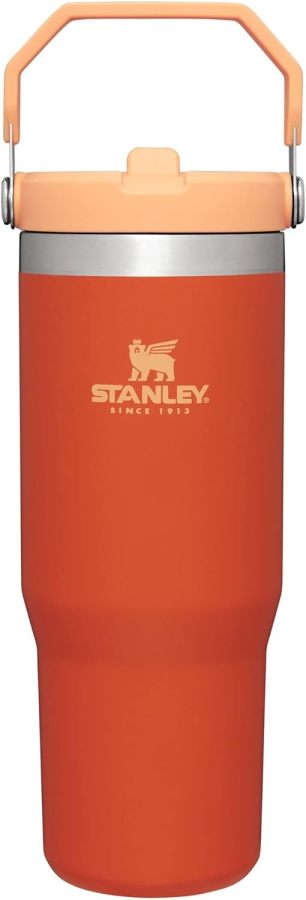 STANLEY IceFlow Stainless Steel Tumbler with Straw, Vacuum Insulated Water Bottle for Home, Office or Car, Reusable Cup with Straw Leak Resistant Flip