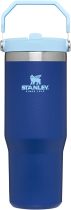 STANLEY IceFlow Stainless Steel Tumbler with Straw, Vacuum Insulated Water Bottle for Home, Office or Car, Reusable Cup with Straw Leak Resistant Flip