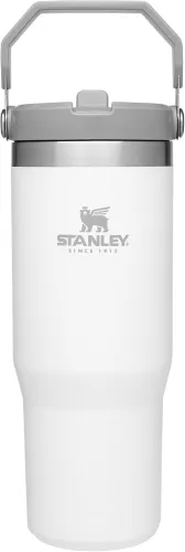 STANLEY IceFlow Stainless Steel Tumbler with Straw, Vacuum Insulated Water Bottle for Home, Office or Car, Reusable Cup with Straw Leak Resistant Flip