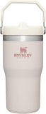 STANLEY IceFlow Stainless Steel Tumbler with Straw, Vacuum Insulated Water Bottle for Home, Office or Car, Reusable Cup with Straw Leak Resistant Flip