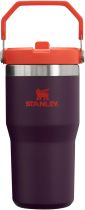 STANLEY IceFlow Stainless Steel Tumbler with Straw, Vacuum Insulated Water Bottle for Home, Office or Car, Reusable Cup with Straw Leak Resistant Flip
