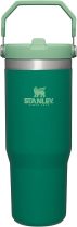STANLEY IceFlow Stainless Steel Tumbler with Straw, Vacuum Insulated Water Bottle for Home, Office or Car, Reusable Cup with Straw Leak Resistant Flip