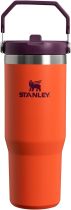 STANLEY IceFlow Stainless Steel Tumbler with Straw, Vacuum Insulated Water Bottle for Home, Office or Car, Reusable Cup with Straw Leak Resistant Flip