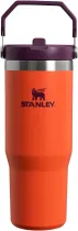 STANLEY IceFlow Stainless Steel Tumbler with Straw, Vacuum Insulated Water Bottle for Home, Office or Car, Reusable Cup with Straw Leak Resistant Flip