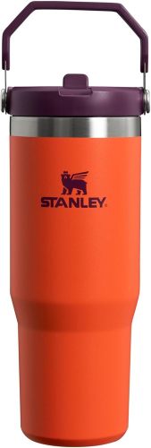 STANLEY IceFlow Stainless Steel Tumbler with Straw, Vacuum Insulated Water Bottle for Home, Office or Car, Reusable Cup with Straw Leak Resistant Flip