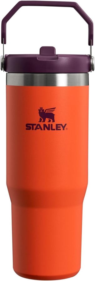 STANLEY IceFlow Stainless Steel Tumbler with Straw, Vacuum Insulated Water Bottle for Home, Office or Car, Reusable Cup with Straw Leak Resistant Flip
