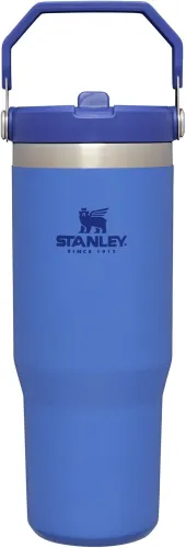 STANLEY IceFlow Stainless Steel Tumbler with Straw, Vacuum Insulated Water Bottle for Home, Office or Car, Reusable Cup with Straw Leak Resistant Flip