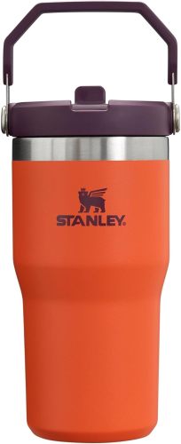 STANLEY IceFlow Stainless Steel Tumbler with Straw, Vacuum Insulated Water Bottle for Home, Office or Car, Reusable Cup with Straw Leak Resistant Flip