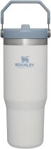 STANLEY IceFlow Stainless Steel Tumbler with Straw, Vacuum Insulated Water Bottle for Home, Office or Car, Reusable Cup with Straw Leak Resistant Flip