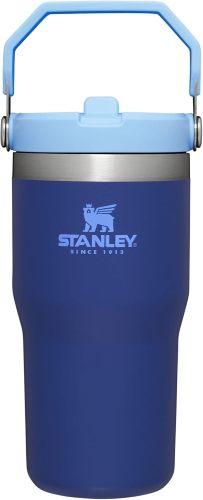 STANLEY IceFlow Stainless Steel Tumbler with Straw, Vacuum Insulated Water Bottle for Home, Office or Car, Reusable Cup with Straw Leak Resistant Flip