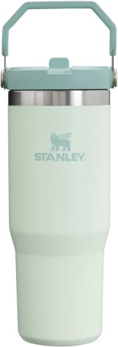 STANLEY IceFlow Stainless Steel Tumbler with Straw, Vacuum Insulated Water Bottle for Home, Office or Car, Reusable Cup with Straw Leak Resistant Flip