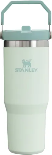 STANLEY IceFlow Stainless Steel Tumbler with Straw, Vacuum Insulated Water Bottle for Home, Office or Car, Reusable Cup with Straw Leak Resistant Flip