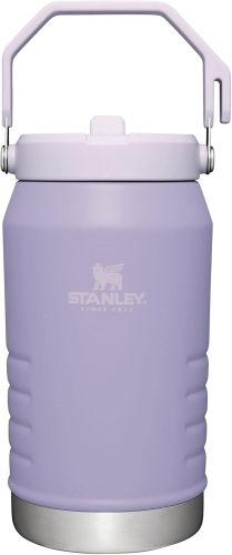 STANLEY IceFlow Stainless Steel Tumbler with Straw, Vacuum Insulated Water Bottle for Home, Office or Car, Reusable Cup with Straw Leak Resistant Flip