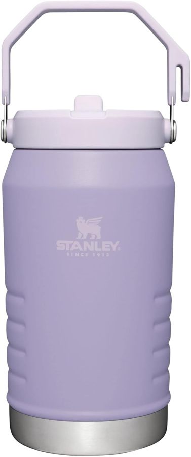 STANLEY IceFlow Stainless Steel Tumbler with Straw, Vacuum Insulated Water Bottle for Home, Office or Car, Reusable Cup with Straw Leak Resistant Flip