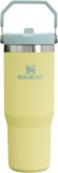 STANLEY IceFlow Stainless Steel Tumbler with Straw, Vacuum Insulated Water Bottle for Home, Office or Car, Reusable Cup with Straw Leak Resistant Flip